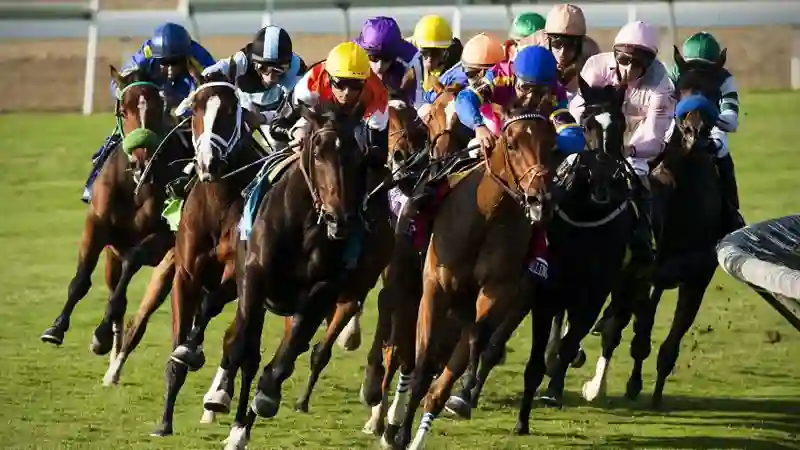 Lucky Cola Casino Horse Racing Betting